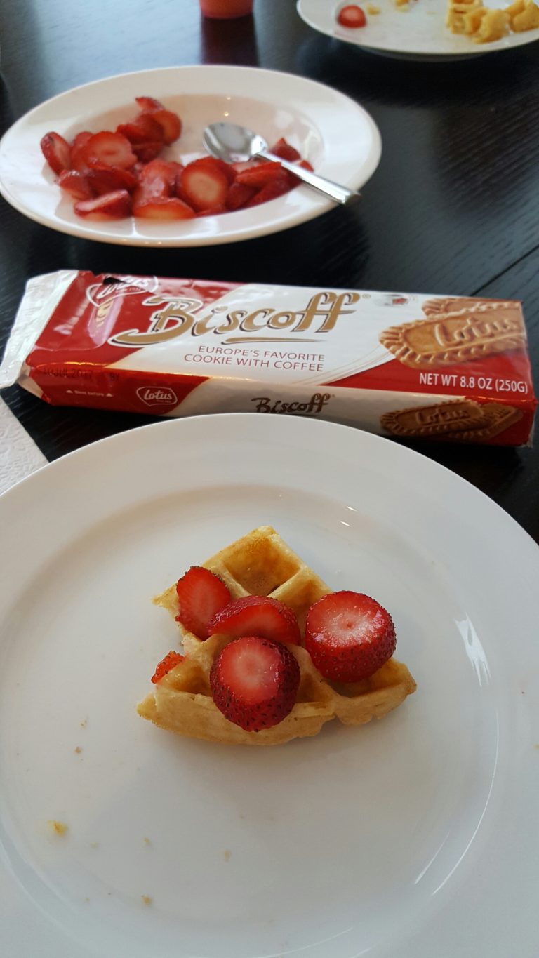 Biscoff European Cookies Nut Free Mom Blog Nut Free Lifestyle